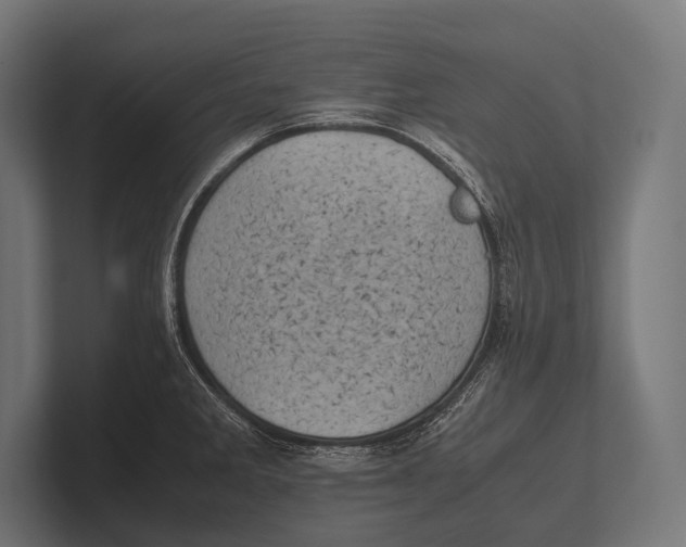 X0000100231285200806201436