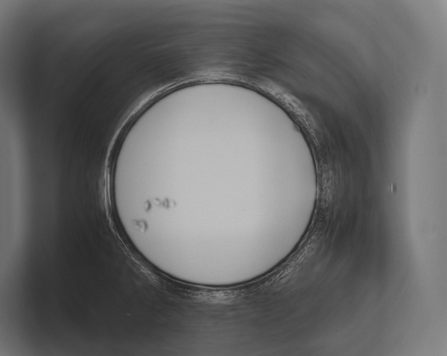 X0000100231286200806201436