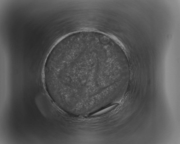 X0000100231287200806201436