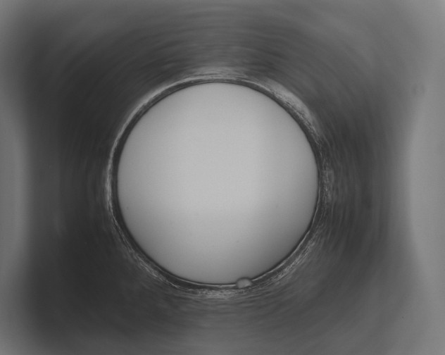 X0000100231288200806201436