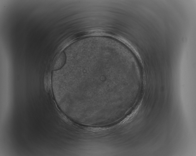 X0000100231289200806201436