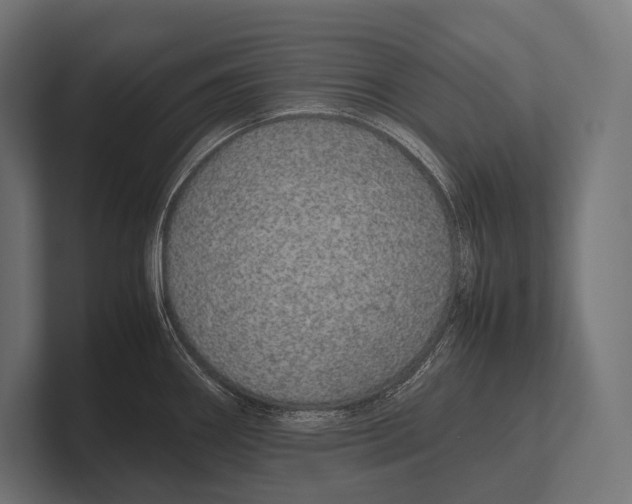 X0000100231290200806201436