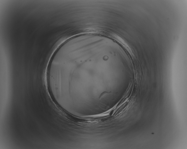 X0000100231291200806201436