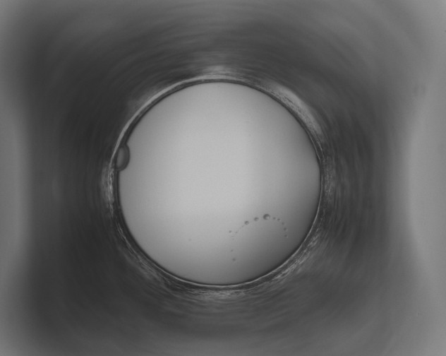 X0000100231292200806201436