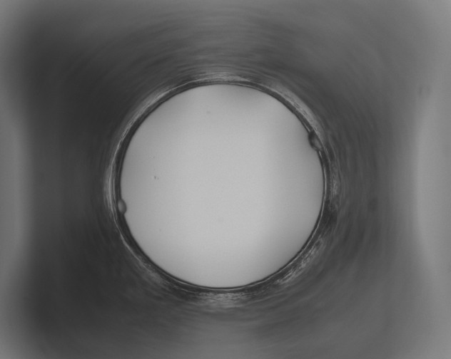 X0000100231293200806201436