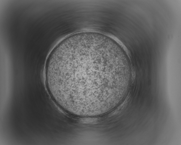 X0000100231294200806201436