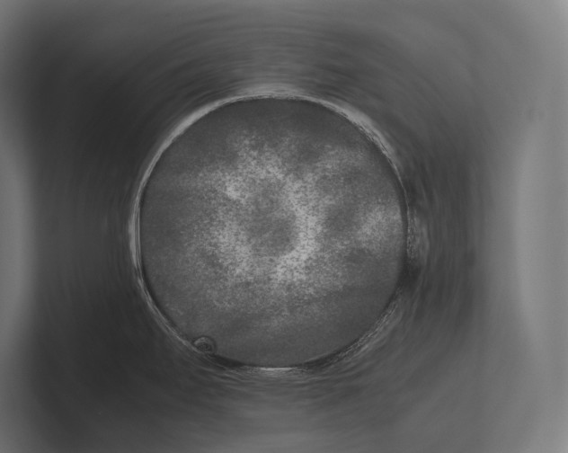 X0000100231295200806201436