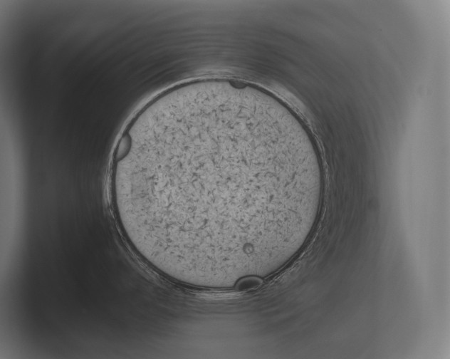 X0000100231296200806201436