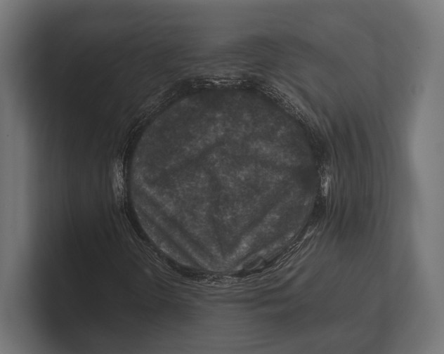 X0000100231298200806201435