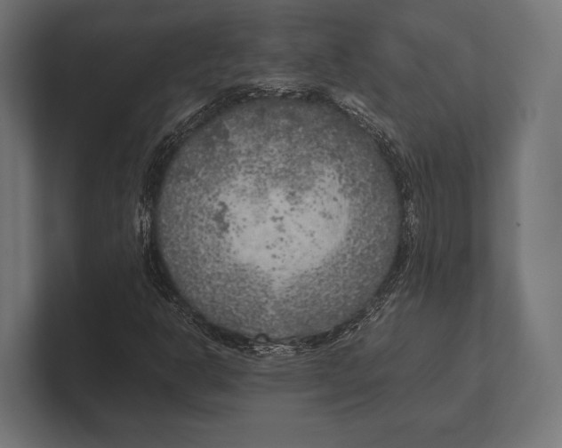 X0000100231302200806201435