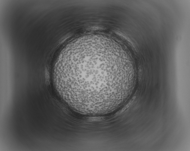 X0000100231305200806201435