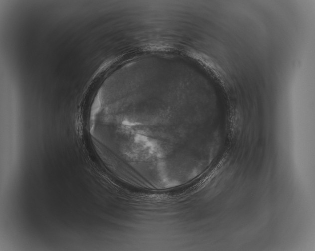 X0000100231306200806201435