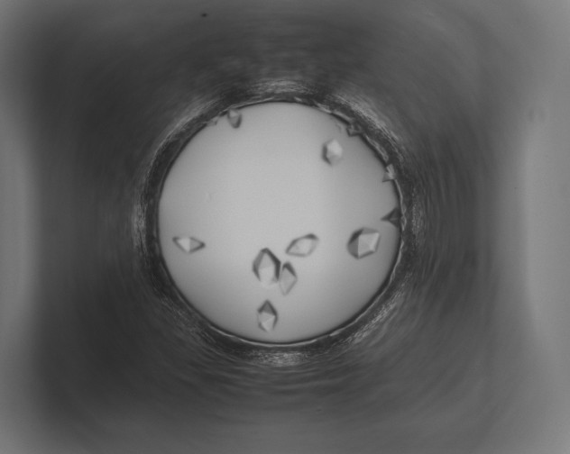 X0000100231309200806201435