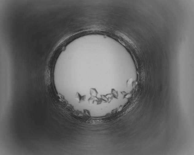 X0000100231310200806201435