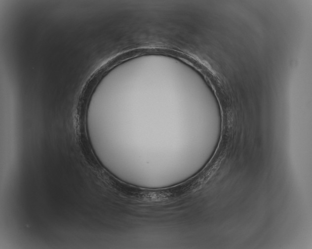 X0000100231311200806201435