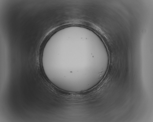 X0000100231312200806201435