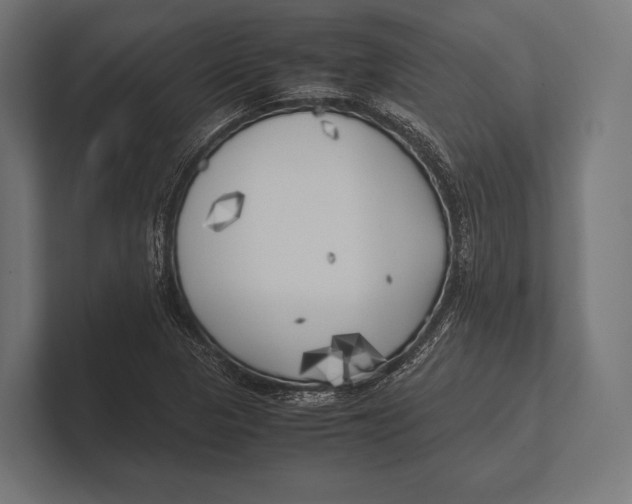 X0000100231313200806201435