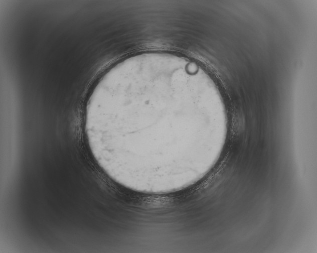 X0000100231314200806201435