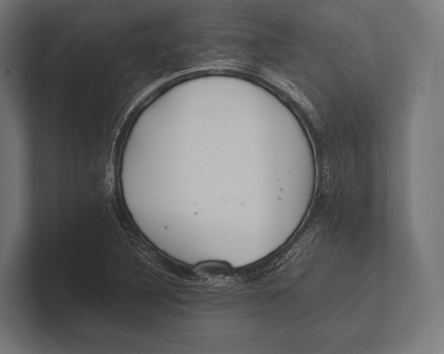 X0000100231316200806201435