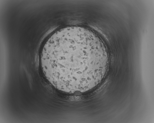 X0000100231317200806201435