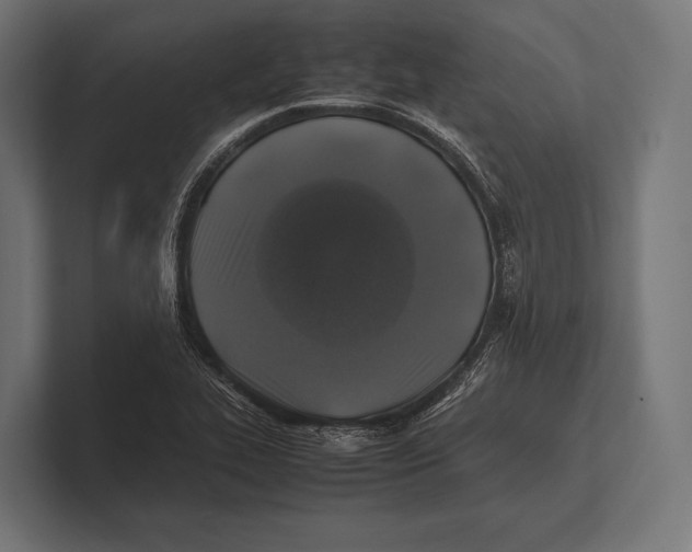 X0000100231319200806201435