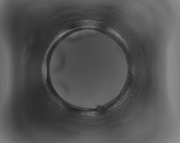 X0000100231323200806201436