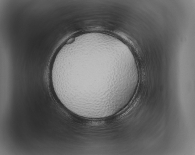 X0000100231325200806201436