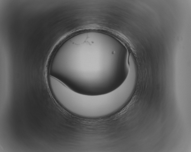 X0000100231326200806201436