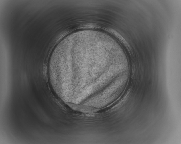 X0000100231329200806201436