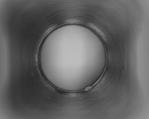 X0000100231330200806201436