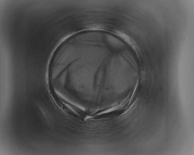 X0000100231331200806201436