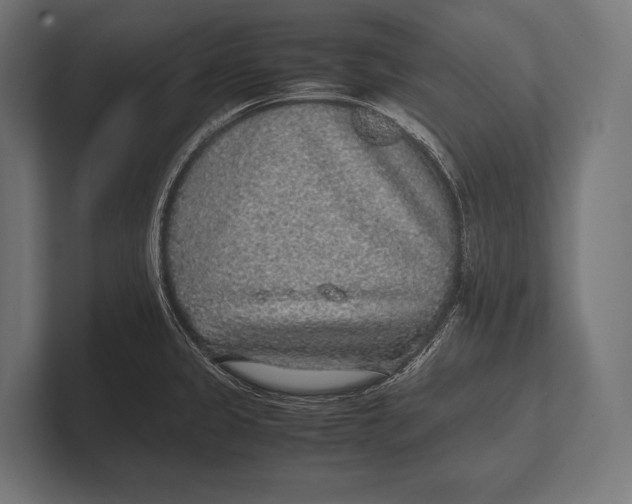 X0000100231333200806201436