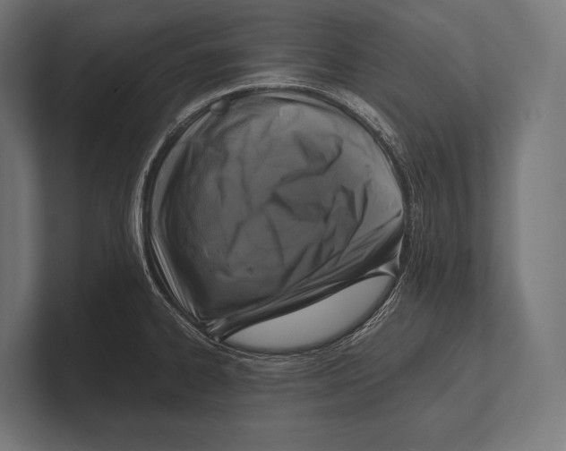 X0000100231334200806201436