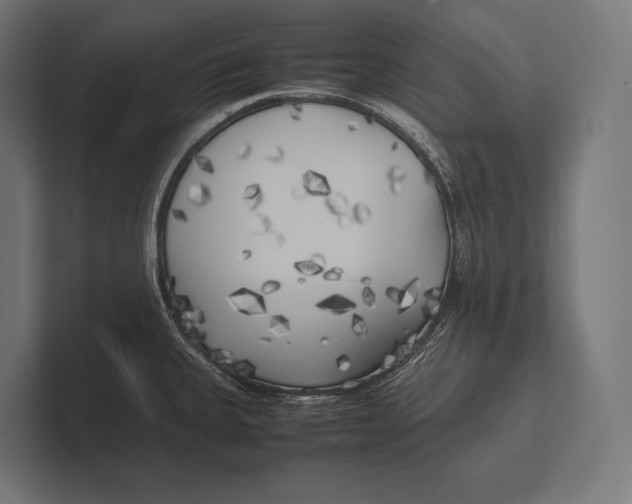 X0000100231335200806201436