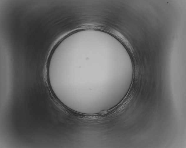 X0000100231336200806201436