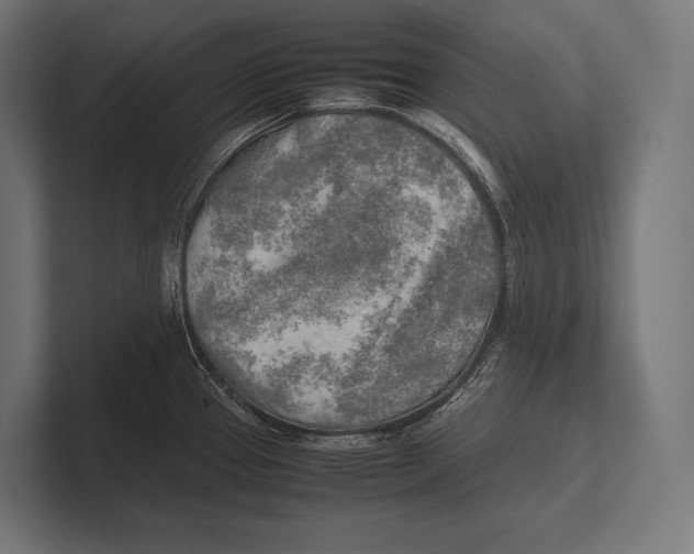 X0000100231337200806201436