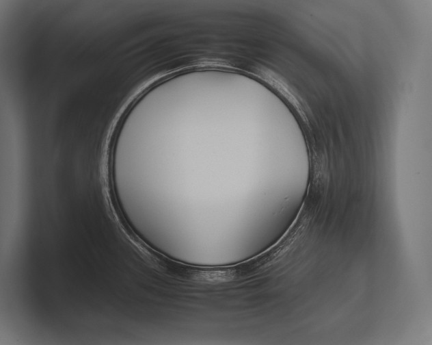 X0000100231339200806201436