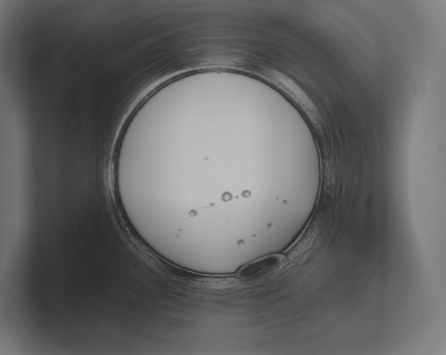 X0000100231340200806201436