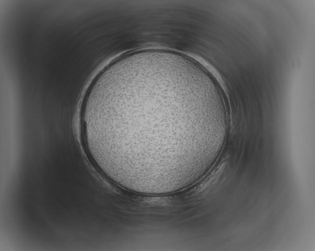 X0000100231341200806201436