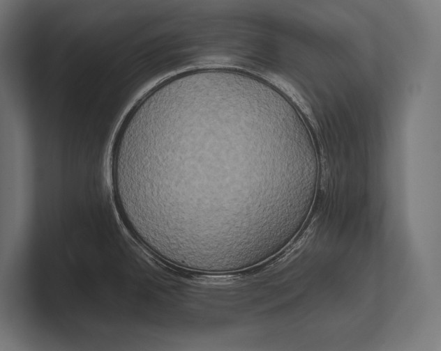 X0000100231342200806201436