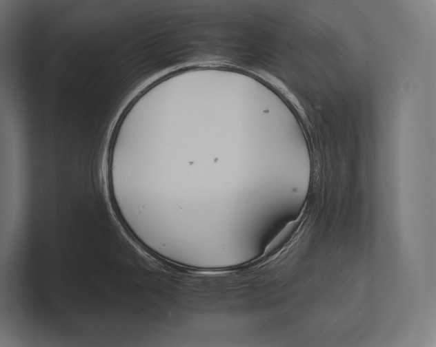 X0000100231343200806201436