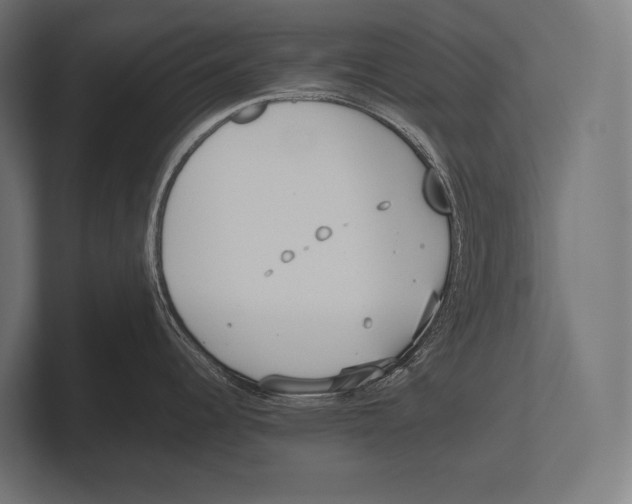 X0000100231344200806201436