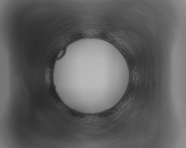 X0000100231346200806201435