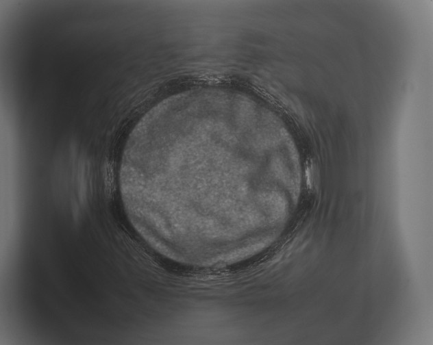 X0000100231347200806201435