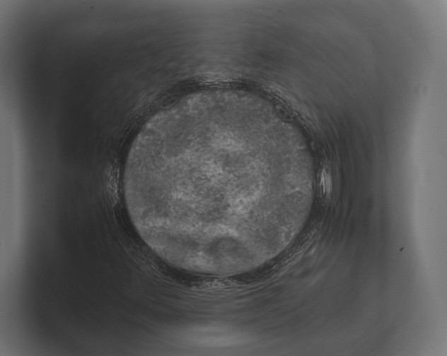 X0000100231348200806201435