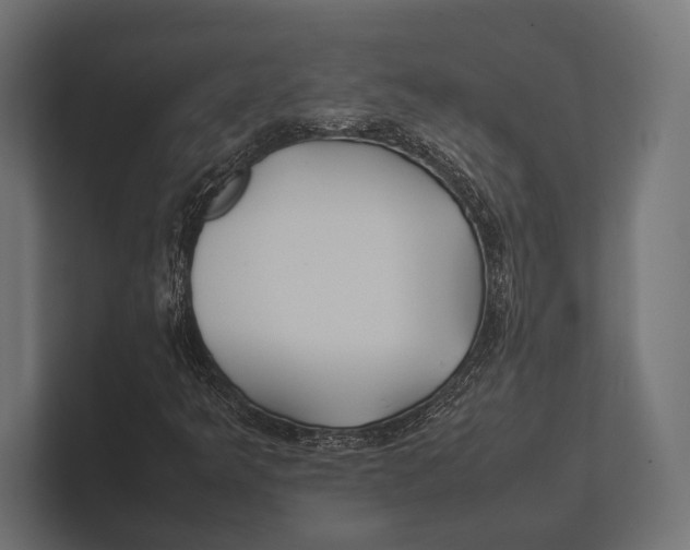 X0000100231349200806201435