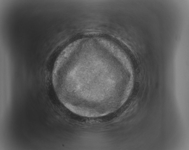 X0000100231351200806201435