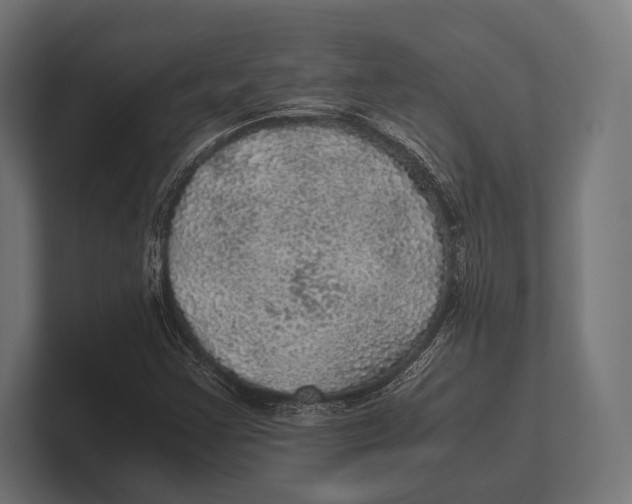 X0000100231355200806201435