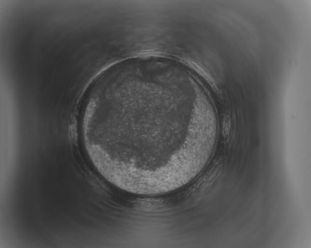 X0000100231356200806201435