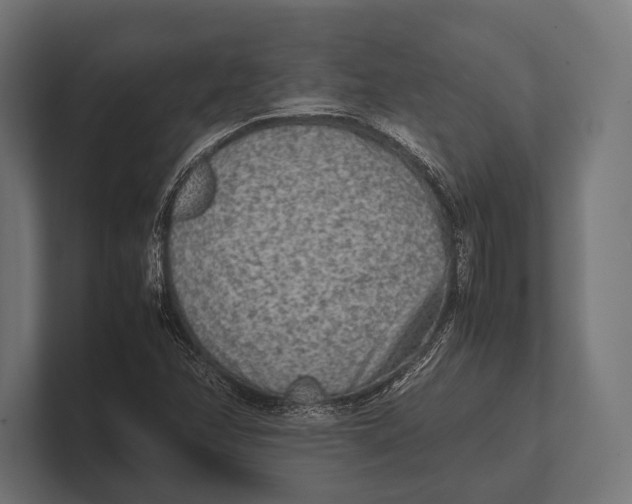 X0000100231358200806201435